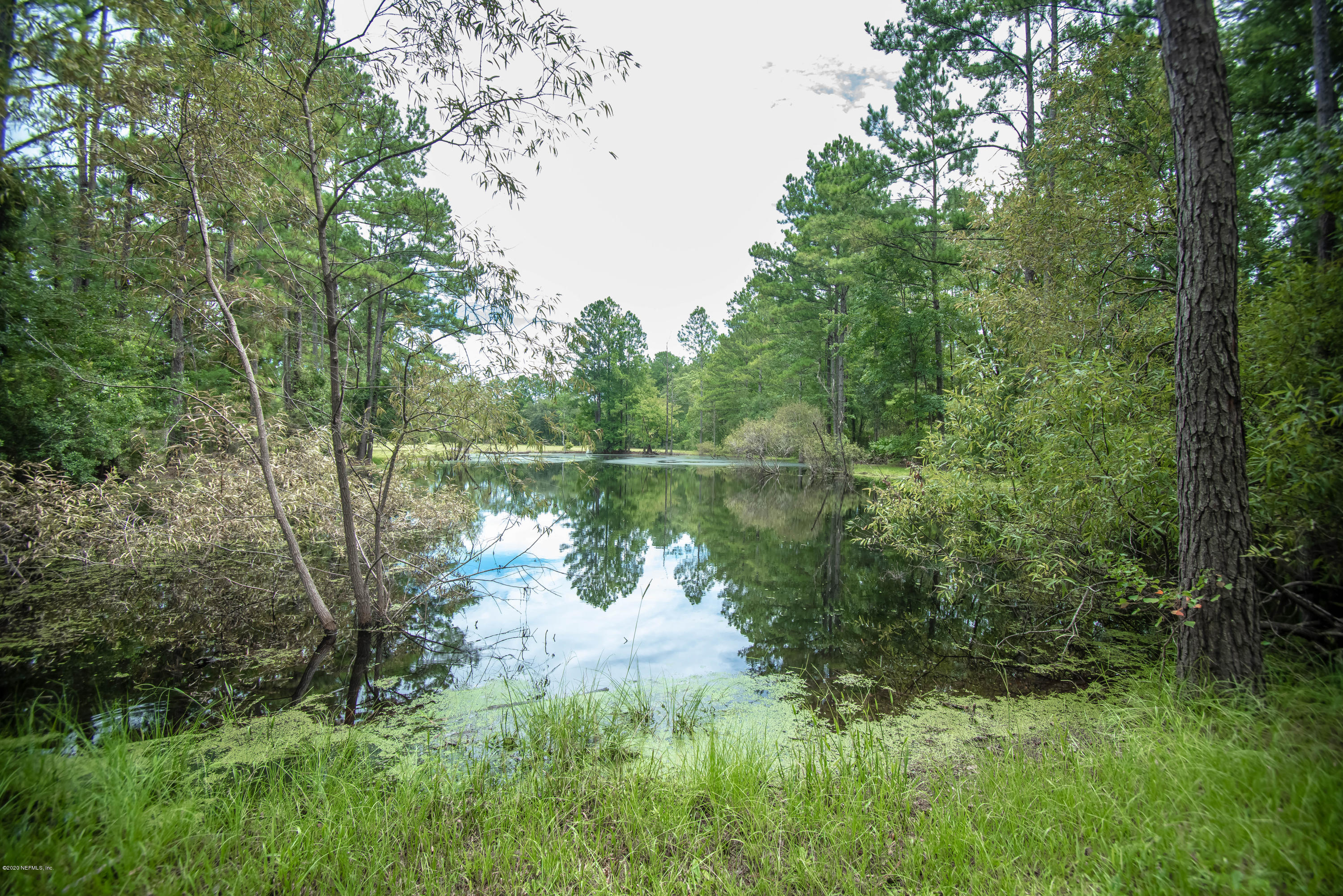7649 Motes Road Bryceville, FL 32009 - Photo 36 of 41 TBP_7779