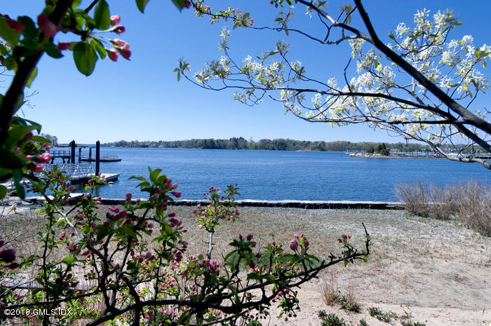 47 Carriglea Drive Riverside, CT 06878 - Photo 4 of 49 a view of a flower