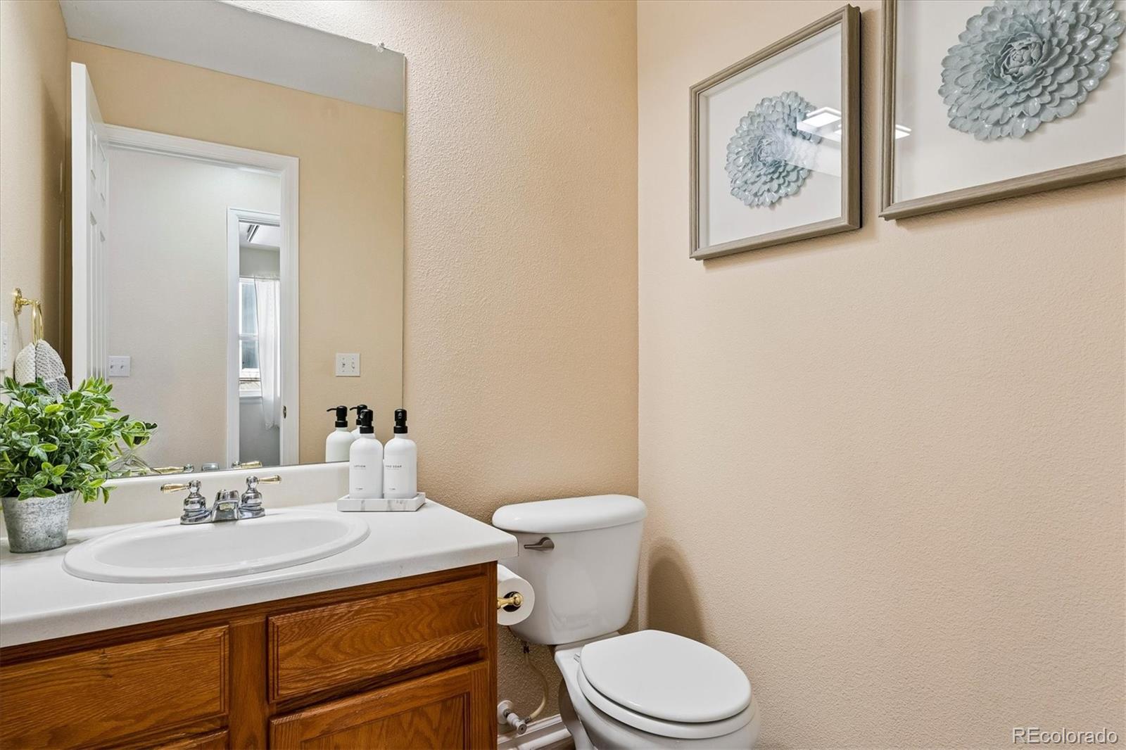 10534 Westcliff Place Highlands Ranch, CO 80130 - Photo 29 of 38 a bathroom with a sink a toilet and mirror