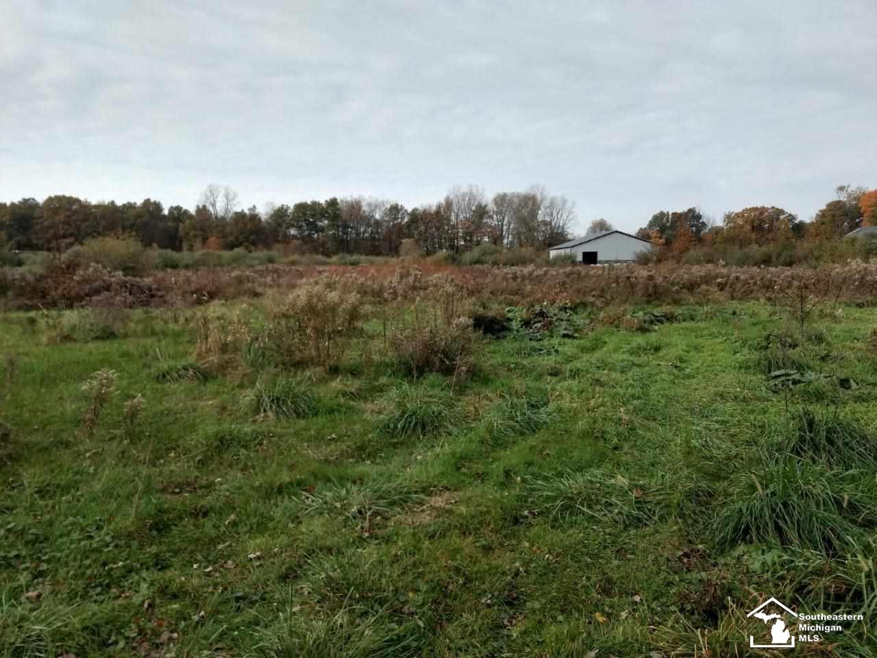 5400 Wells Road Petersburg, MI 49270 - Photo 2 of 11