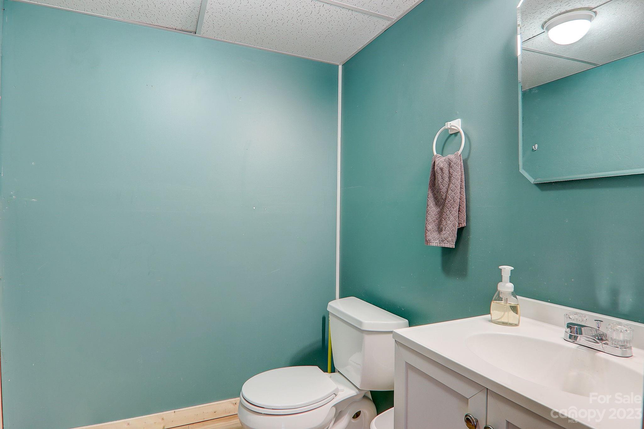 4155 Turnpike Road Horse Shoe, NC 28742 - Photo 28 of 41 a bathroom with a sink a toilet and a mirror
