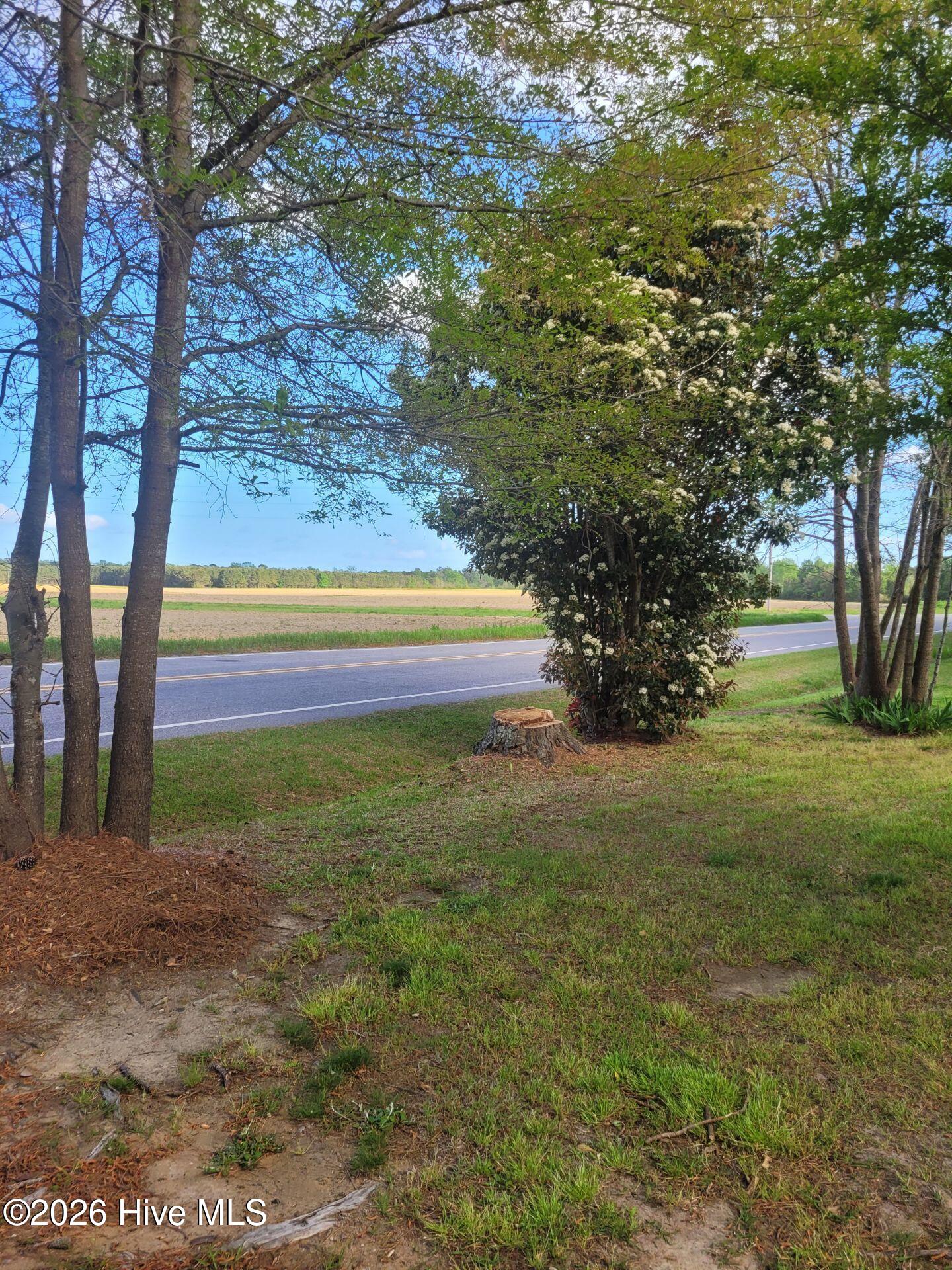 1620 Hallsboro Road Clarkton, NC 28433 - Photo 15 of 22 View in front