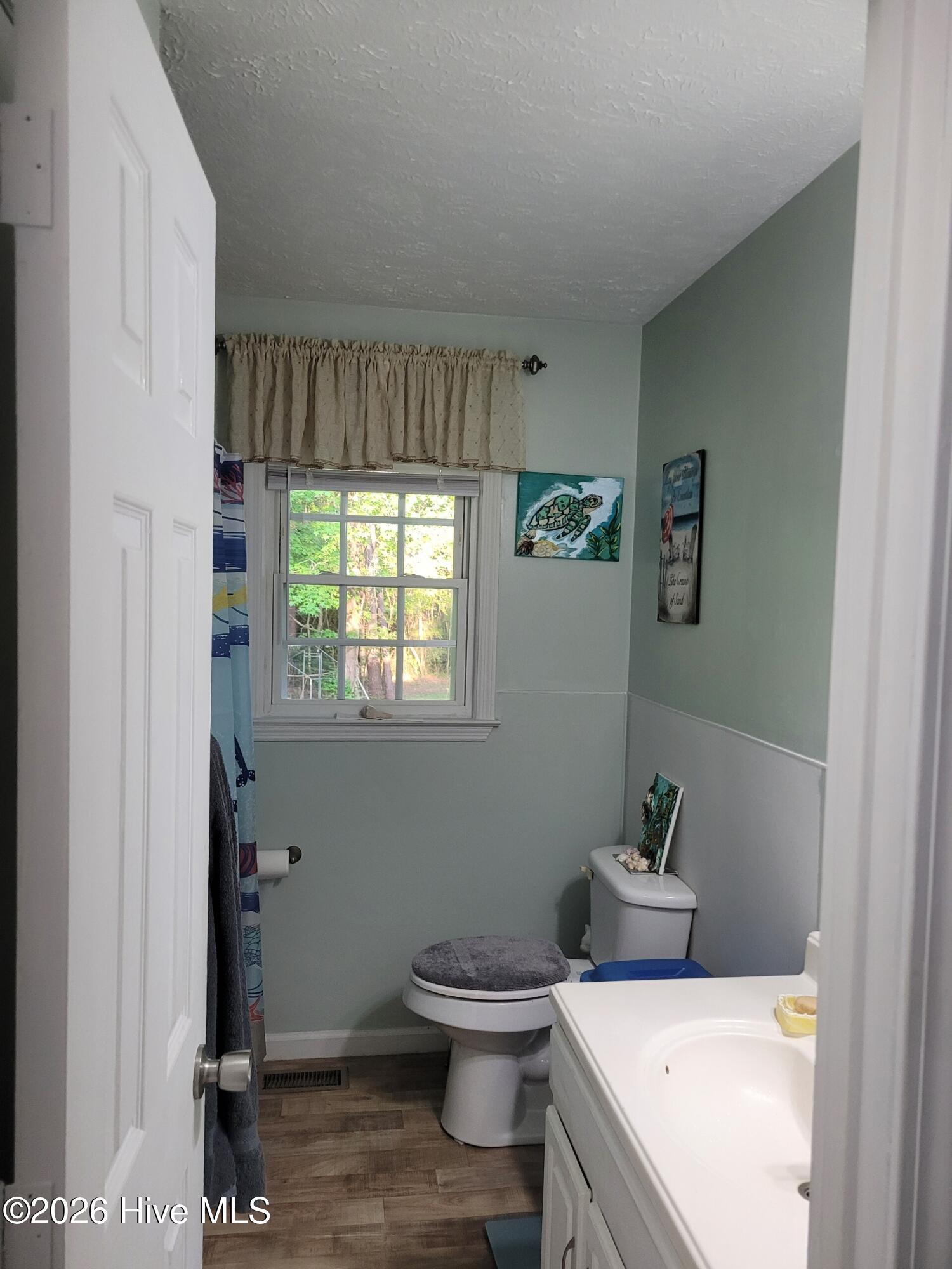 1620 Hallsboro Road Clarkton, NC 28433 - Photo 8 of 22 Bathroom