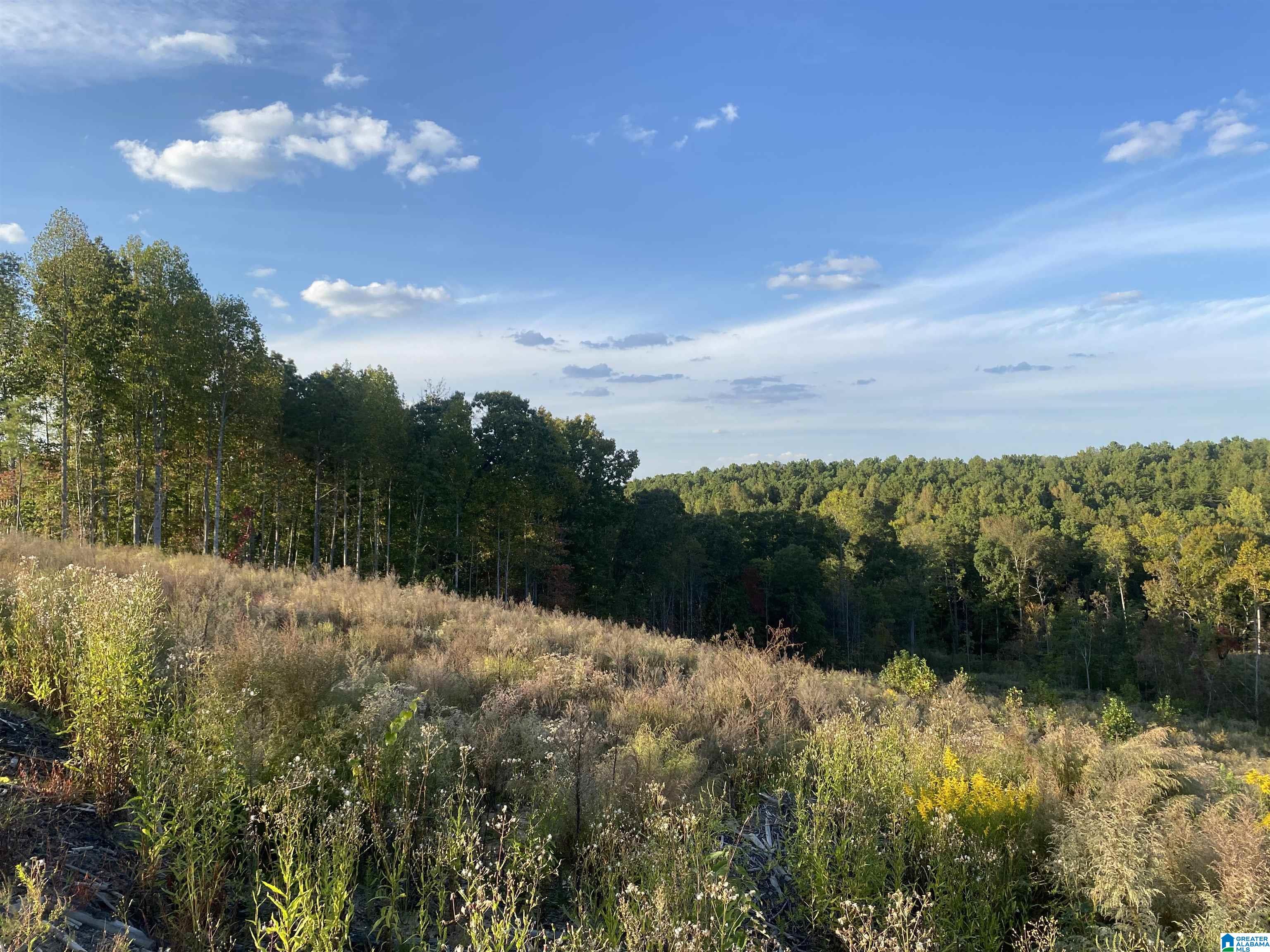 0 Frost Road, Unit 100 / ACRES Springville, AL 35146 - Photo 32 of 60