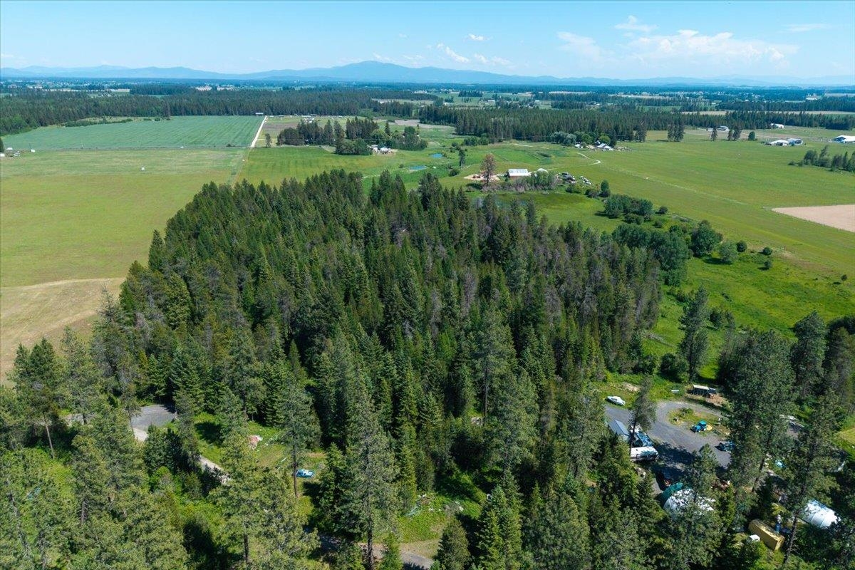 4668 Williams Valley Road Clayton, WA 99110 - Photo 11 of 44