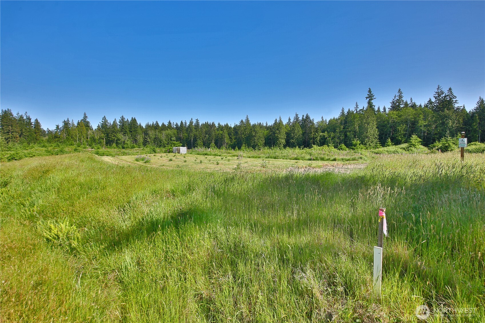 2062 East Goodell Road Freeland, WA 98249 - Photo 9 of 37