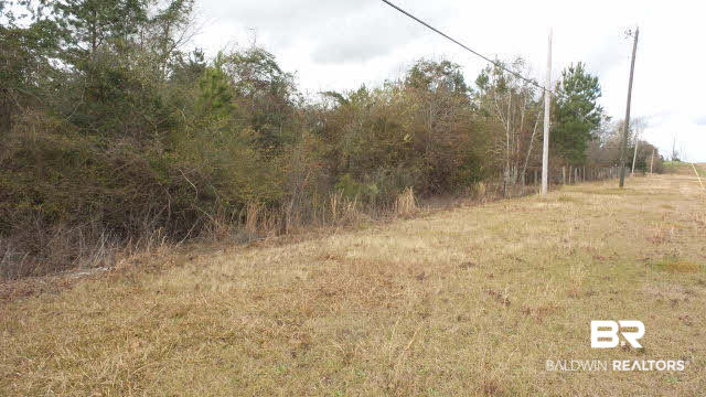 0 Highway 113 Brewton, AL 36426 - Photo 3 of 13