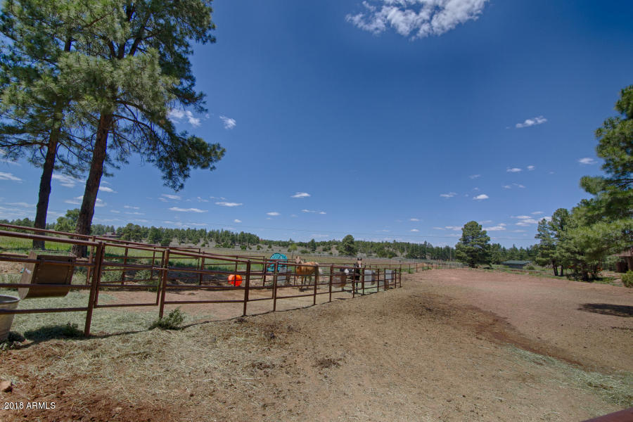 889 Neal Road Show Low, AZ 85901 - Photo 48 of 85 Fenced Horse Property