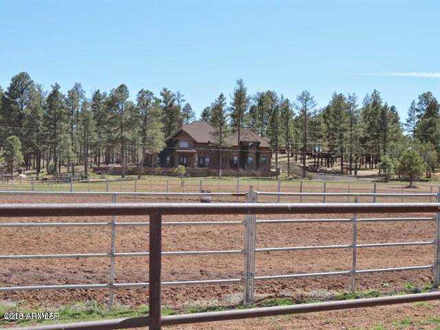889 Neal Road Show Low, AZ 85901 - Photo 49 of 85 Arena