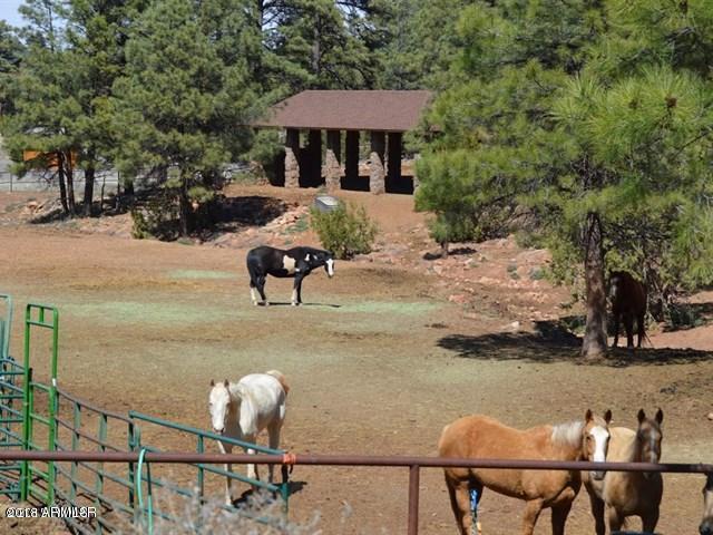 889 Neal Road Show Low, AZ 85901 - Photo 50 of 85 Covered Horse Shelter