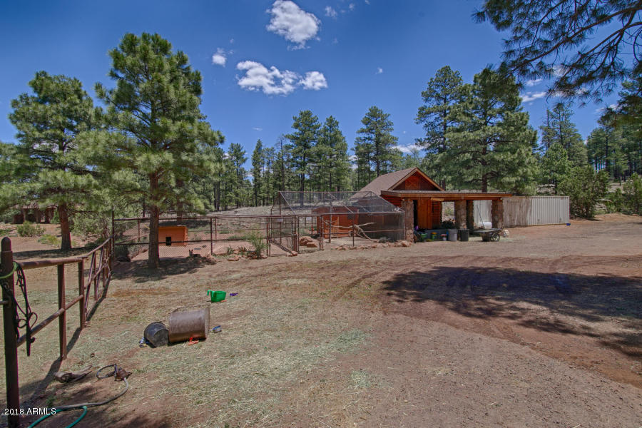 889 Neal Road Show Low, AZ 85901 - Photo 54 of 85 Tack Shed