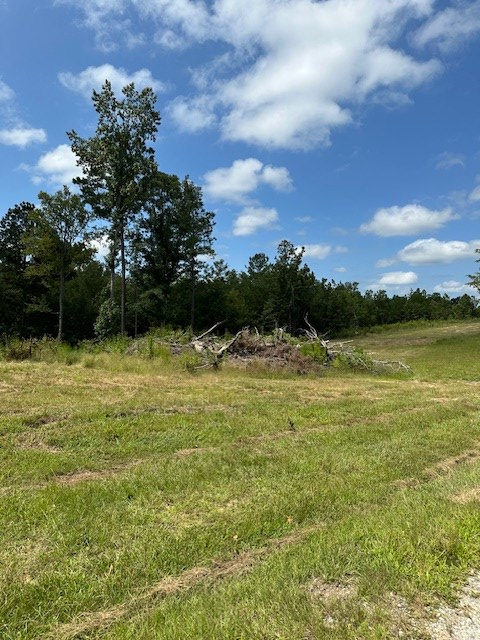 116 Ballenger Road Hodges, SC 29653 - Photo 2 of 31
