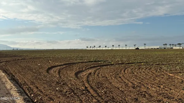 a view of a city street with a park