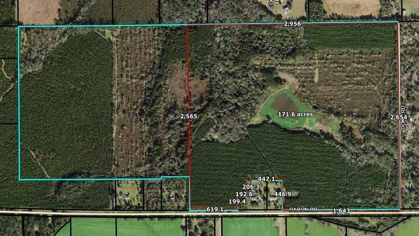 0 Rabon Road Monticello, FL 32344 - Photo 9 of 10 Gallery Image 9