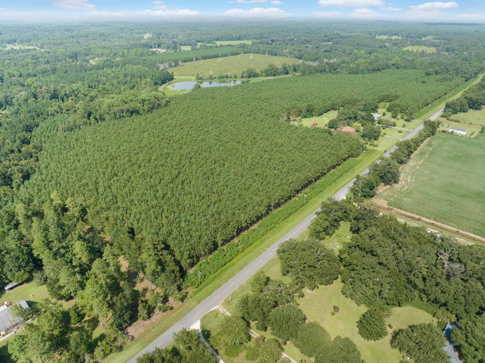 0 Rabon Road Monticello, FL 32344 - Photo 10 of 10 Gallery Image 10