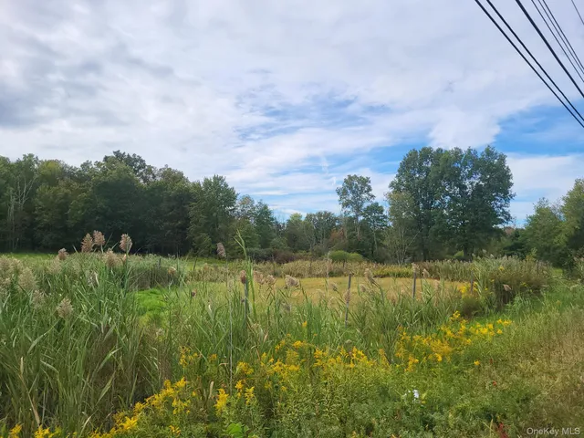 a view of a lush green space