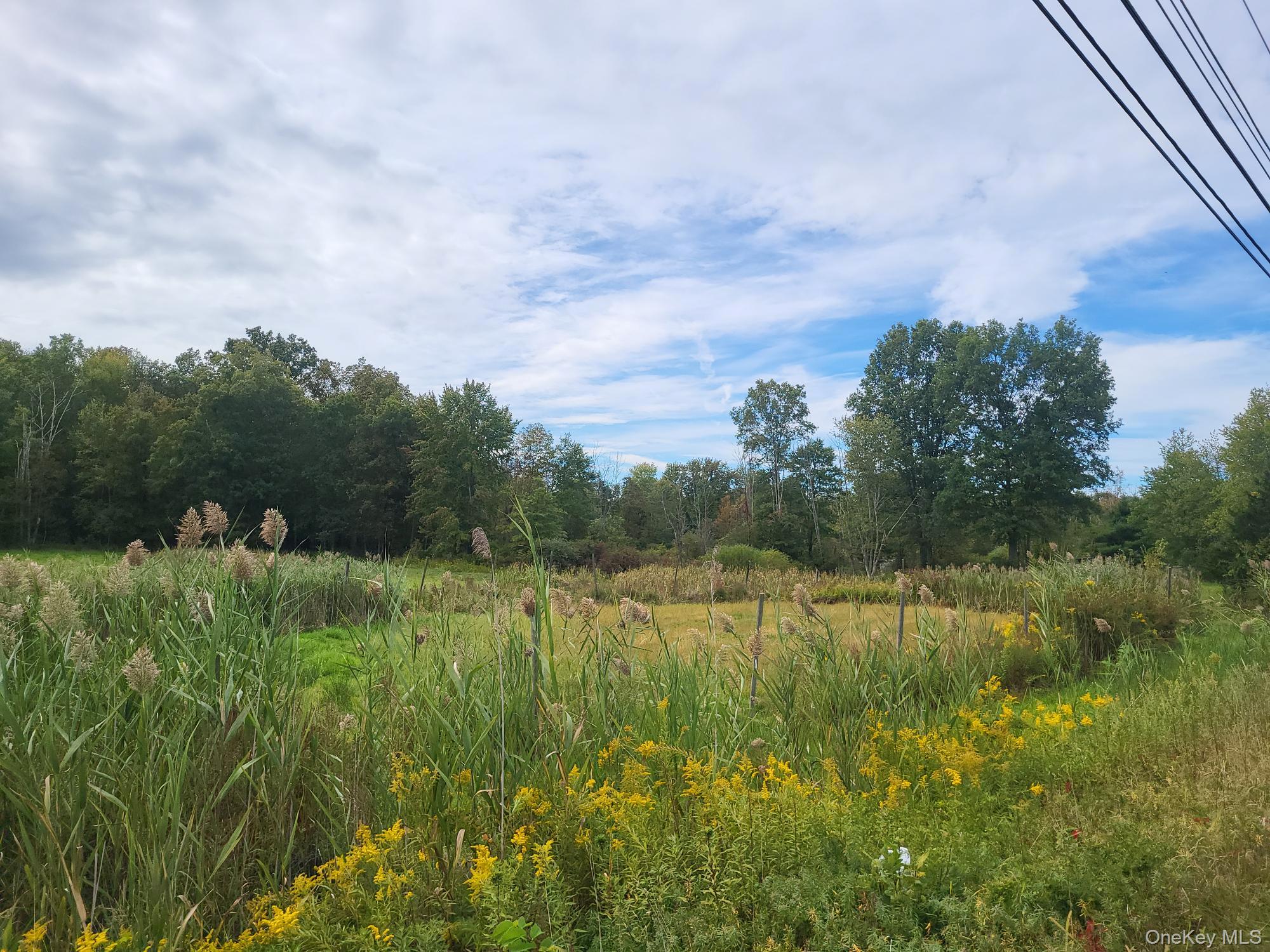 328 Bloomingburg Road Middletown, NY 10940 - Photo 2 of 10 a view of a lush green space