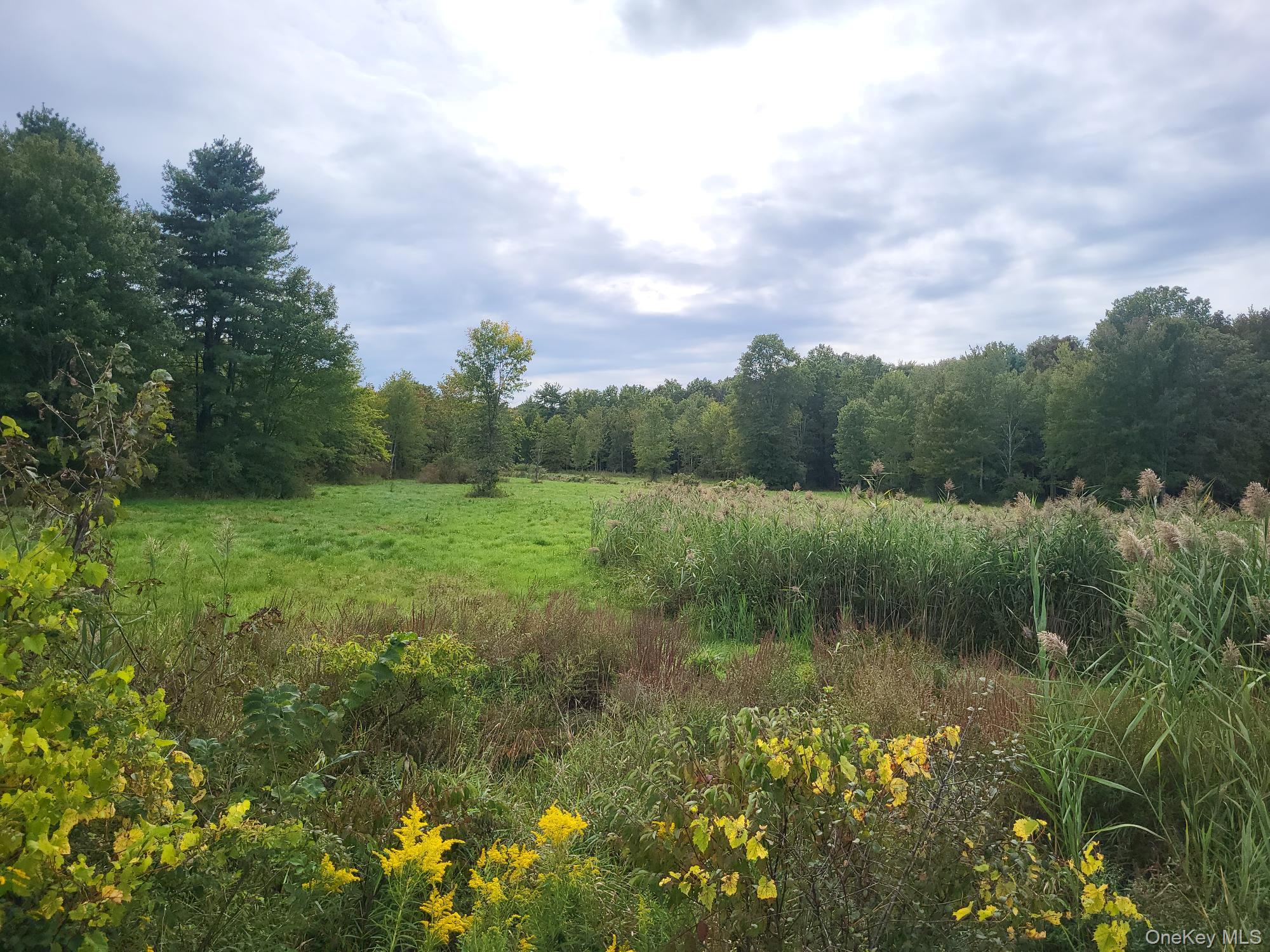 328 Bloomingburg Road Middletown, NY 10940 - Photo 3 of 10 a view of a lake with a mountain