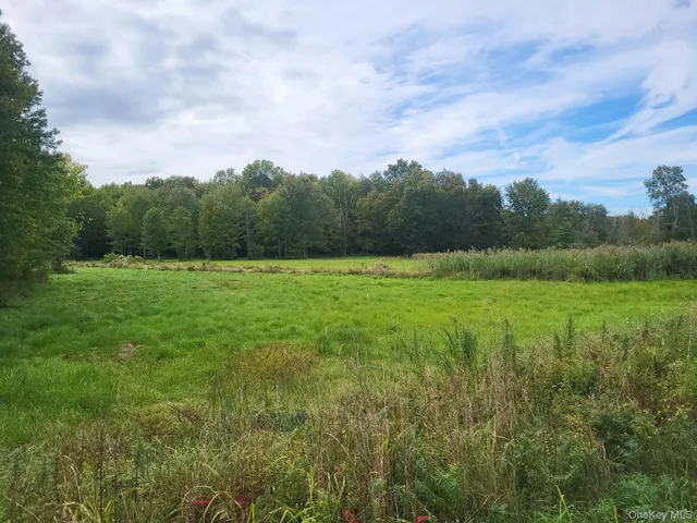 a view of an outdoor space and a yard