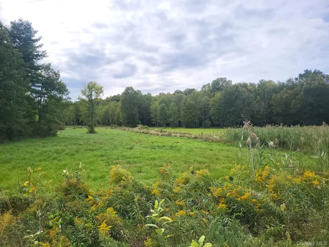 a view of an outdoor space and a yard