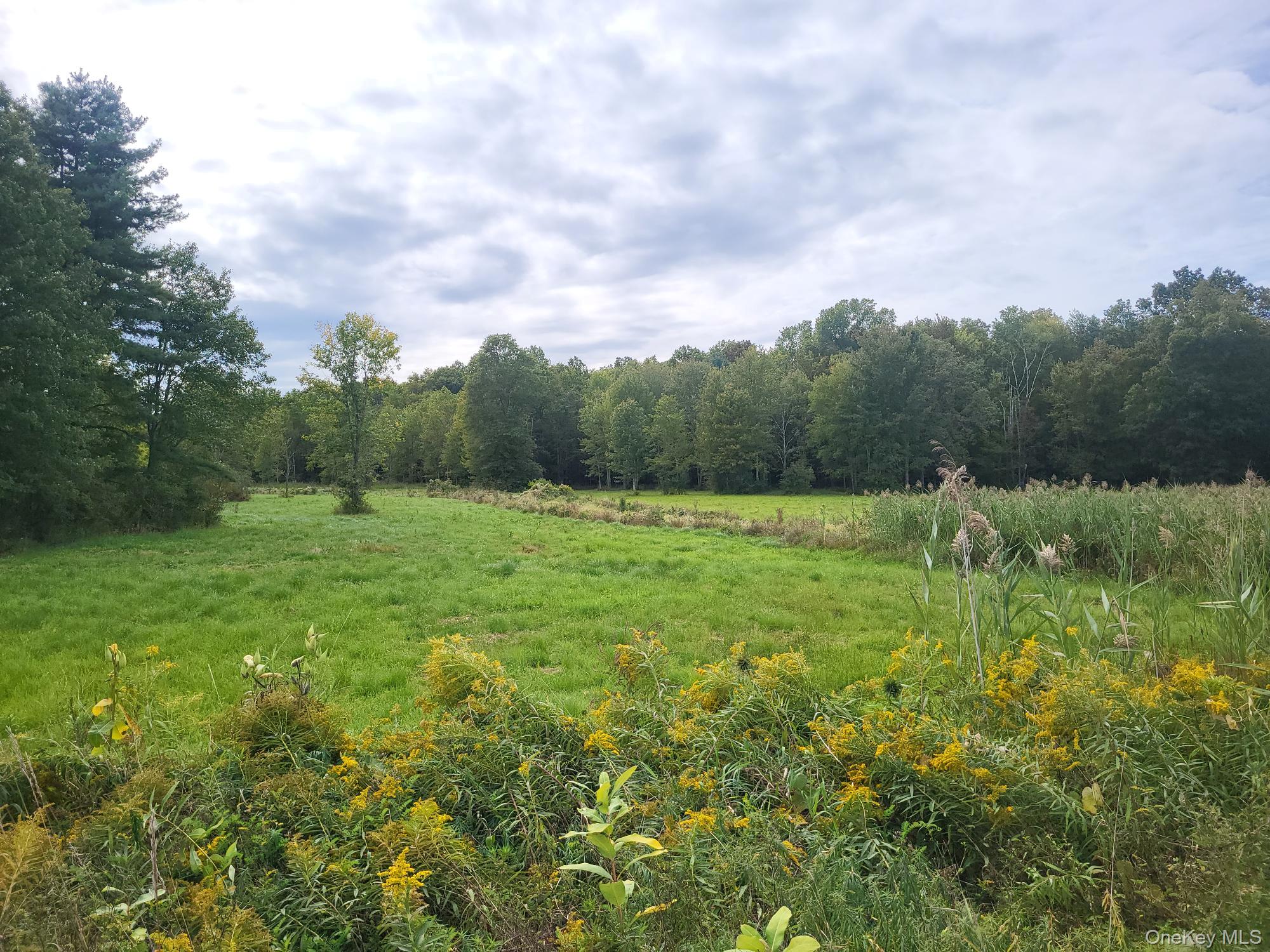 328 Bloomingburg Road Middletown, NY 10940 - Photo 5 of 10 a view of an outdoor space and a yard