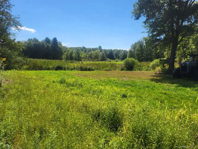 a view of an outdoor space and a yard