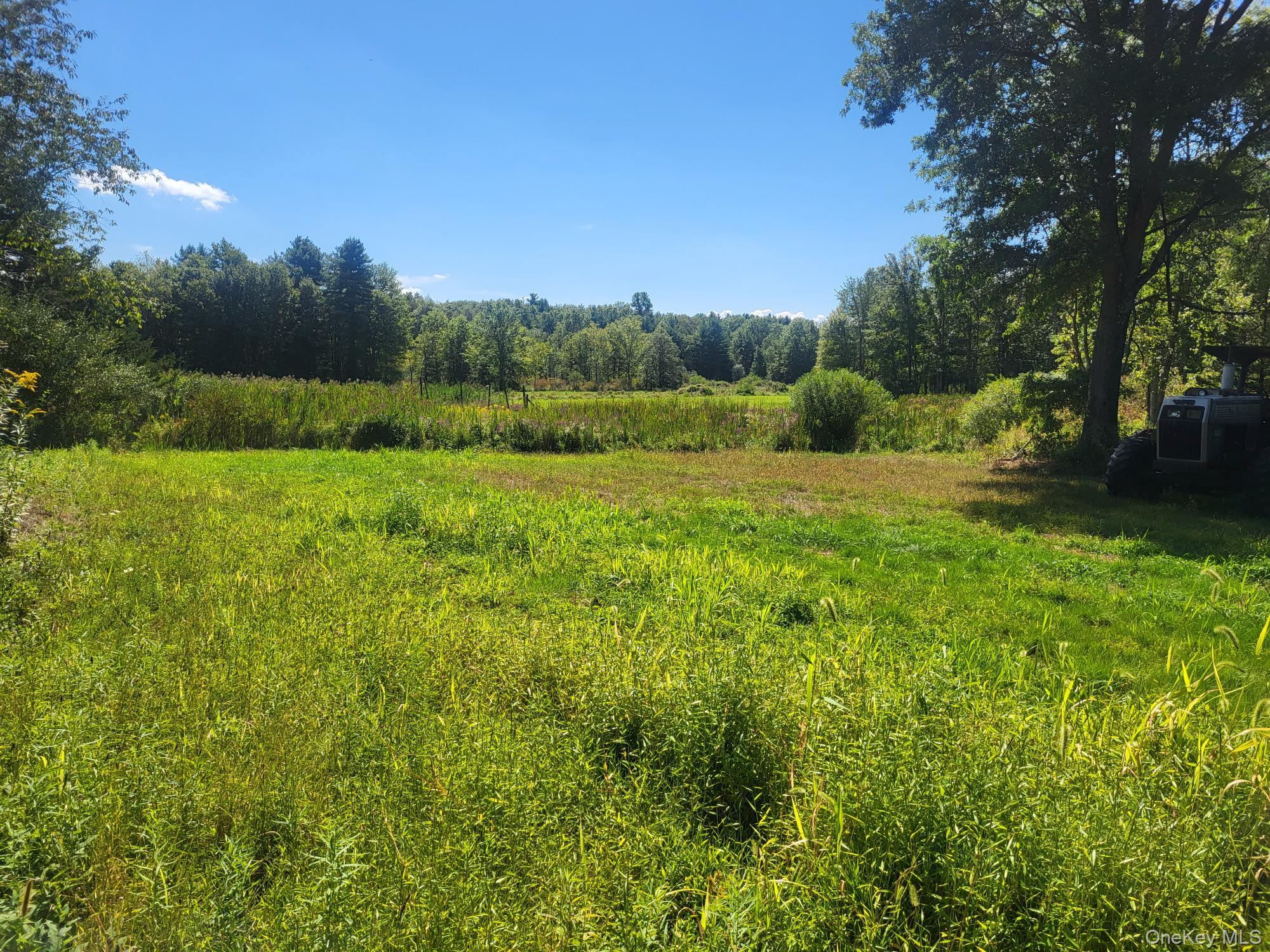 328 Bloomingburg Road Middletown, NY 10940 - Photo 6 of 10 a view of an outdoor space and a yard