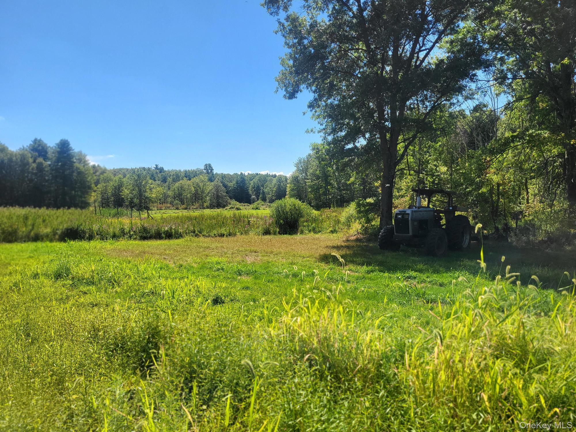 328 Bloomingburg Road Middletown, NY 10940 - Photo 7 of 10 a view of an outdoor space and a yard