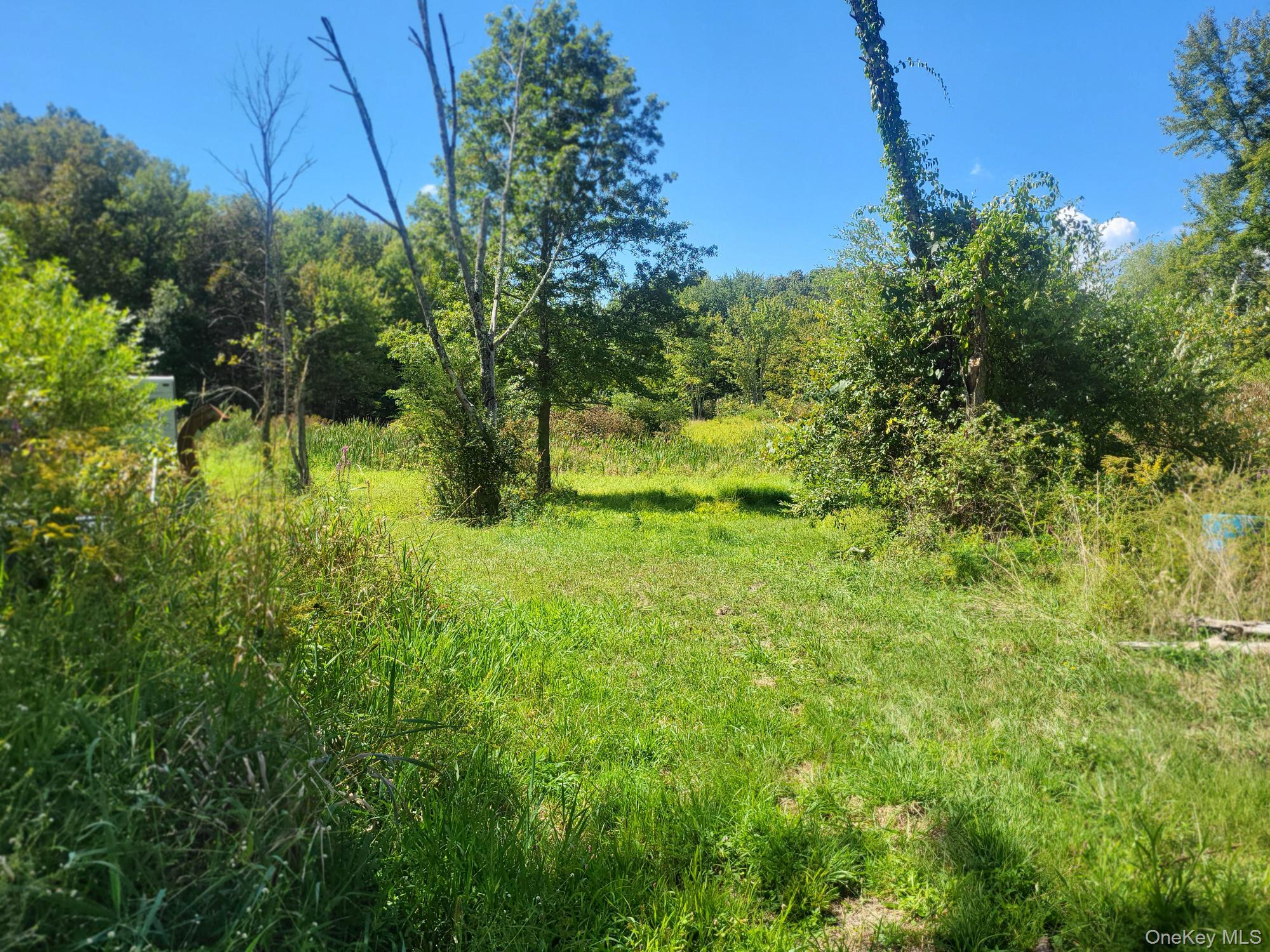 328 Bloomingburg Road Middletown, NY 10940 - Photo 8 of 10 a view of a garden
