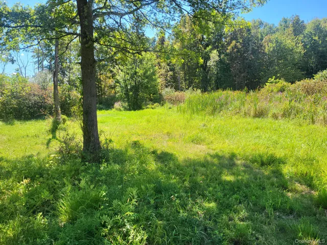 a view of a yard with large trees