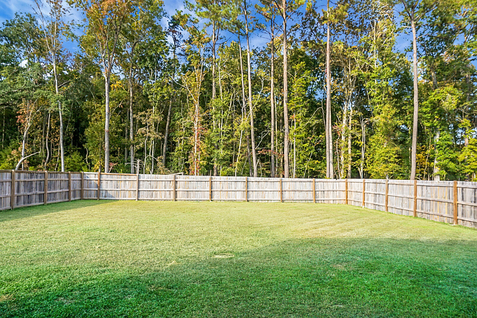 370 Spruce Ivy Street Moncks Corner, SC 29461 - Photo 43 of 47 DSC01387