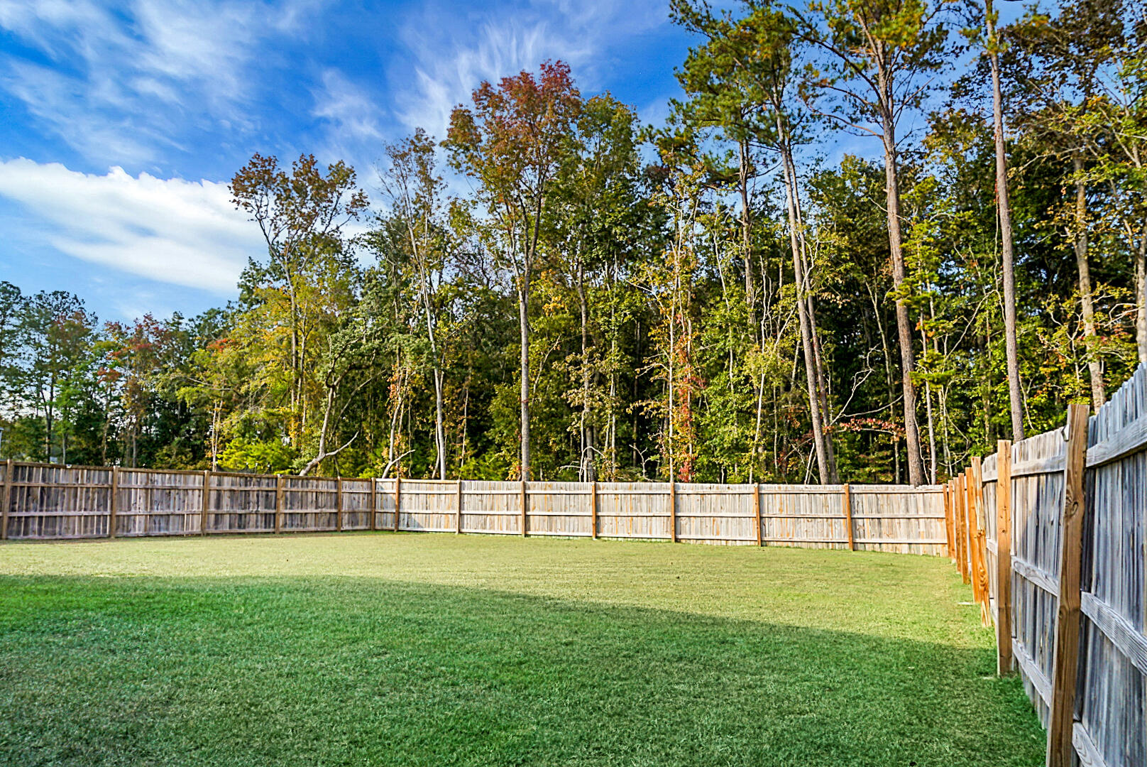 370 Spruce Ivy Street Moncks Corner, SC 29461 - Photo 45 of 47 DSC01393