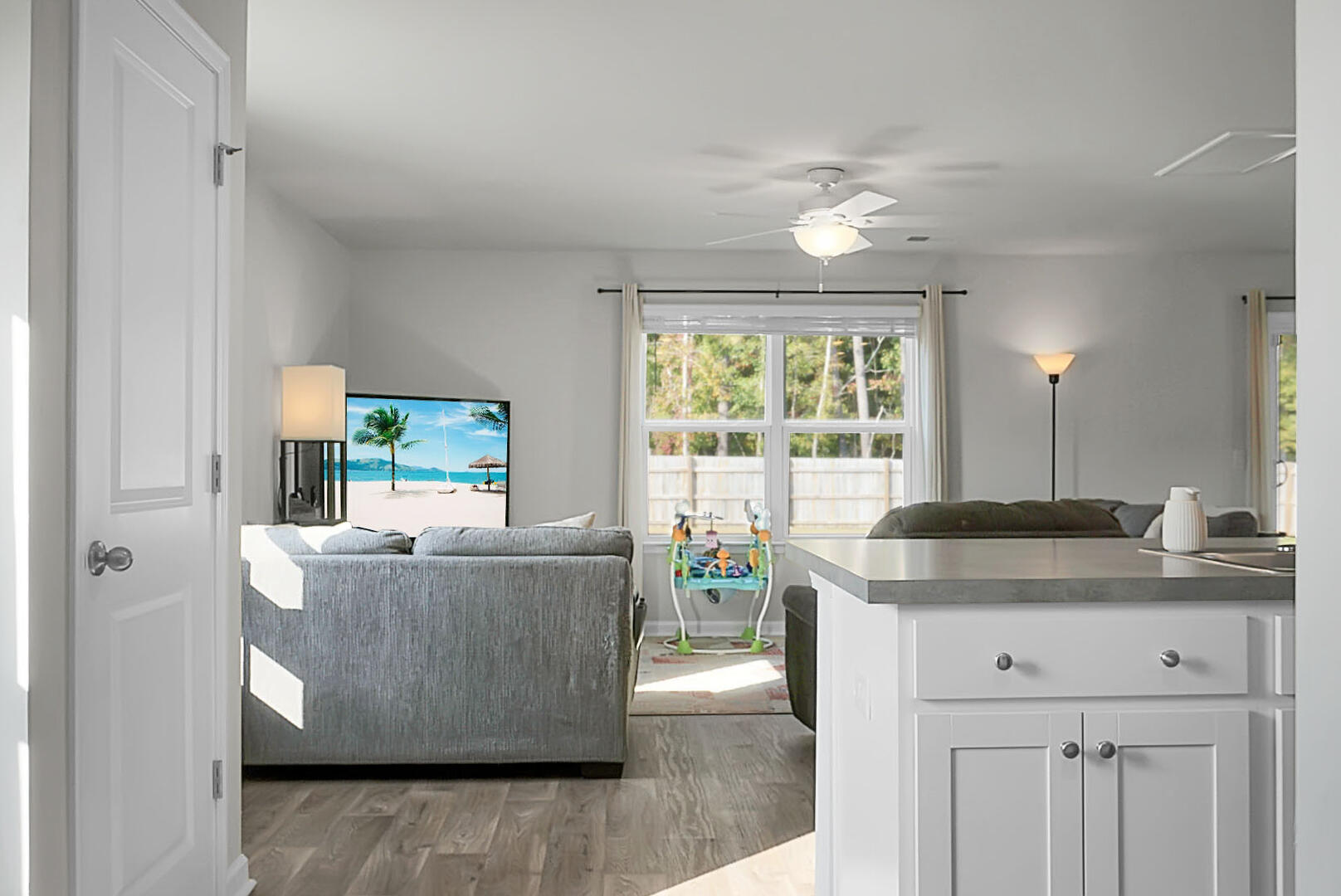 370 Spruce Ivy Street Moncks Corner, SC 29461 - Photo 8 of 47 DSC01342