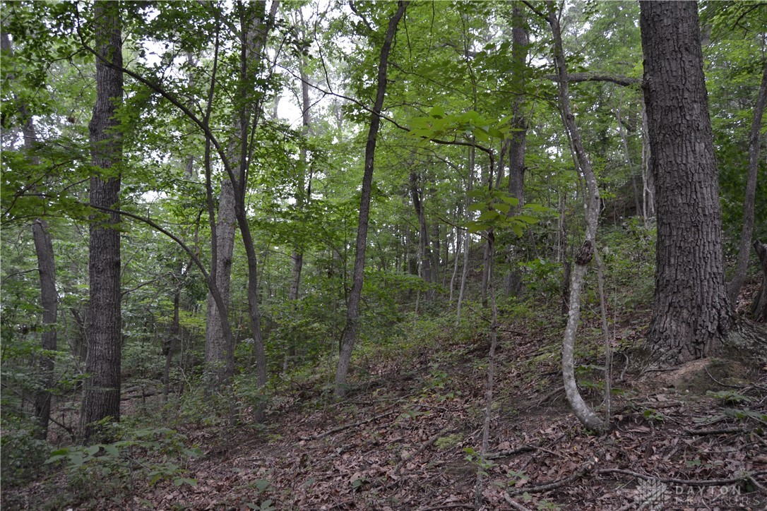 94-acres Naces Run Road Stout, OH 45684 - Photo 36 of 36 Gallery Image 36
