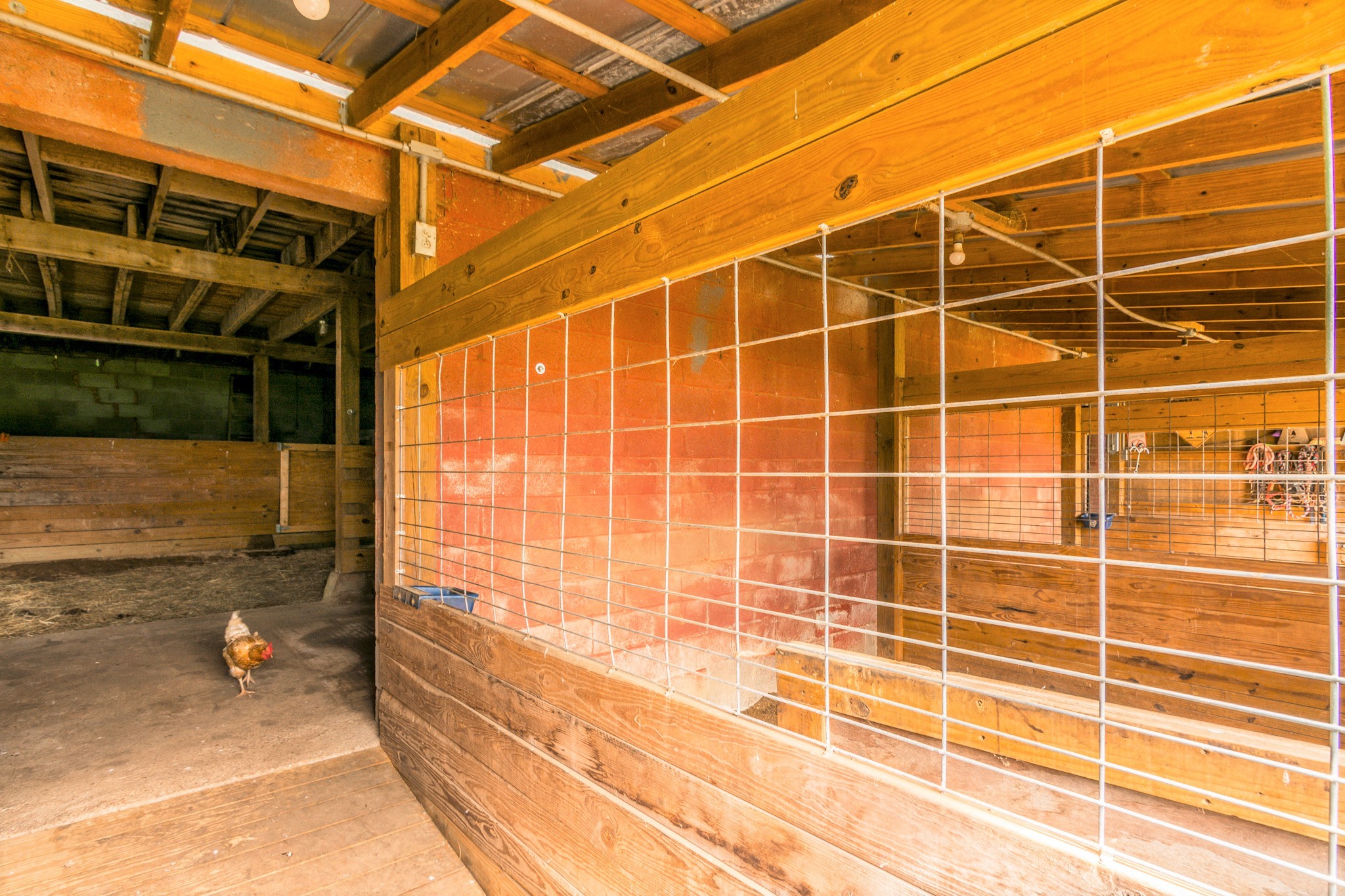4125 Calista Road Cross Plains, TN 37049 - Photo 37 of 44 Gallery Image 37