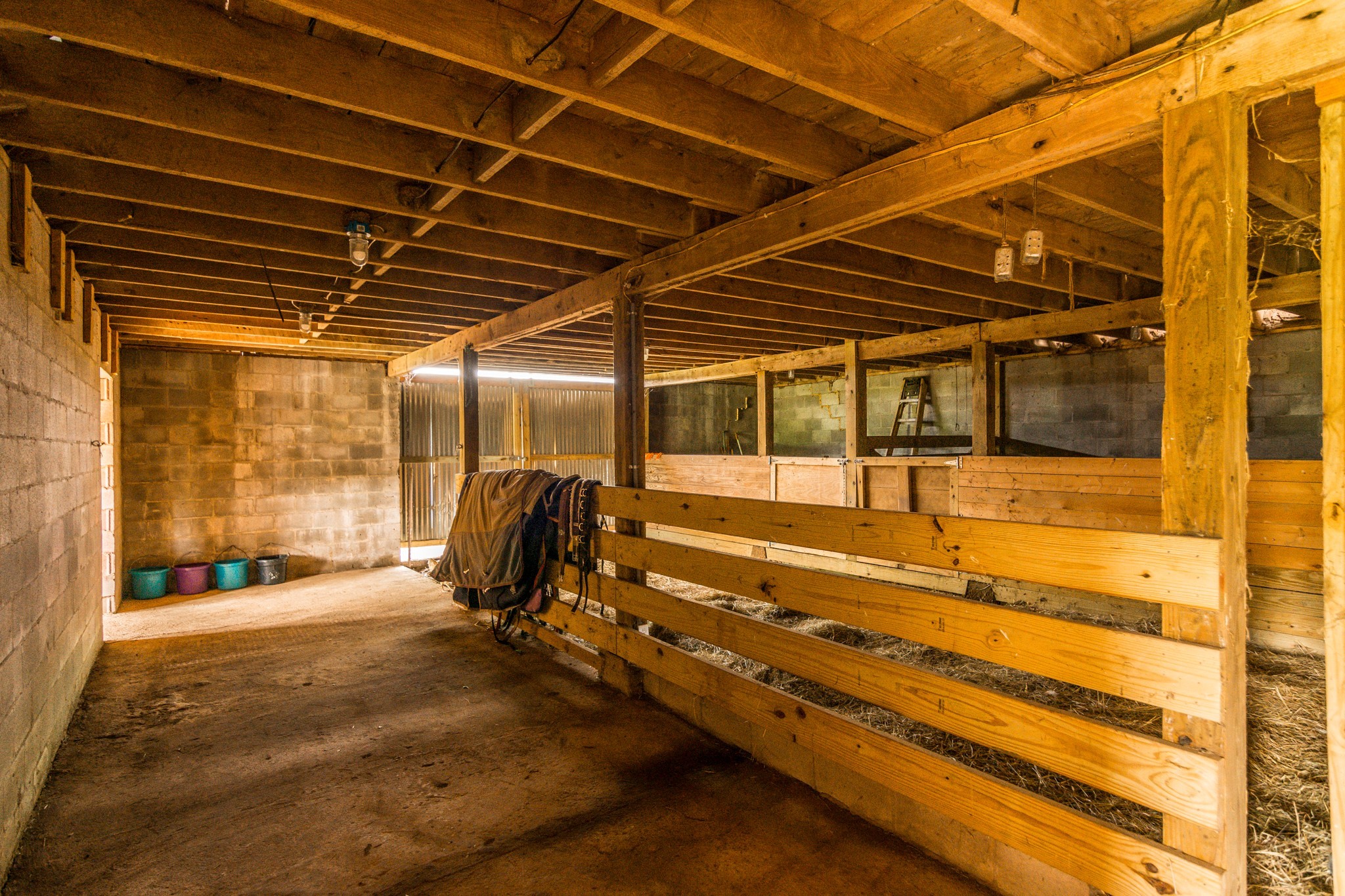 4125 Calista Road Cross Plains, TN 37049 - Photo 41 of 44 Gallery Image 41