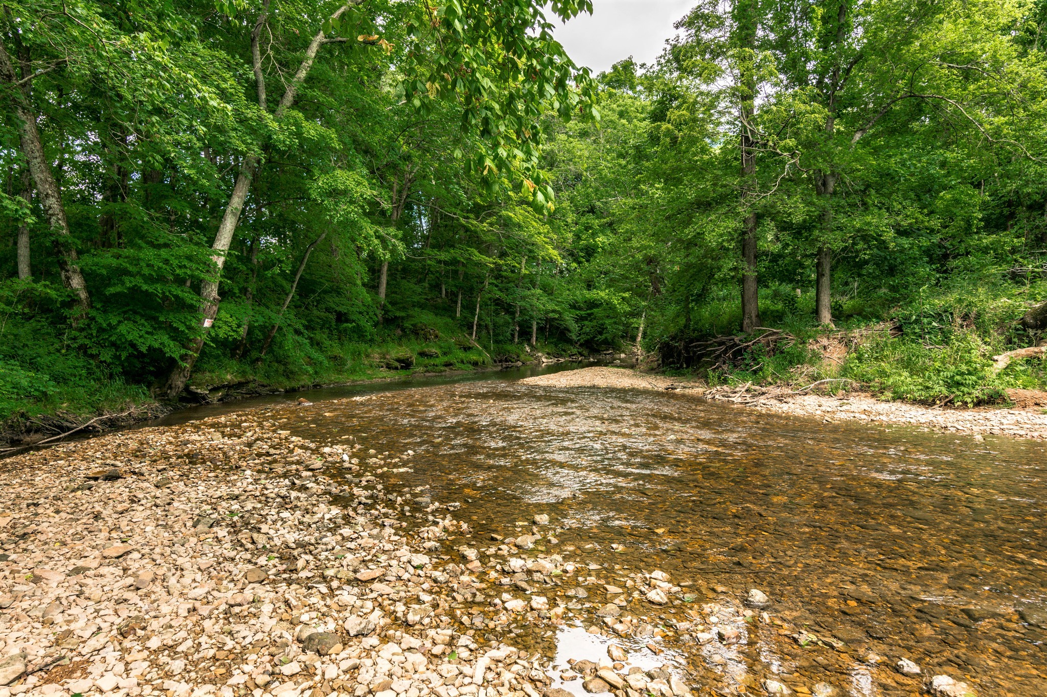 4125 Calista Road Cross Plains, TN 37049 - Photo 42 of 44 Gallery Image 42