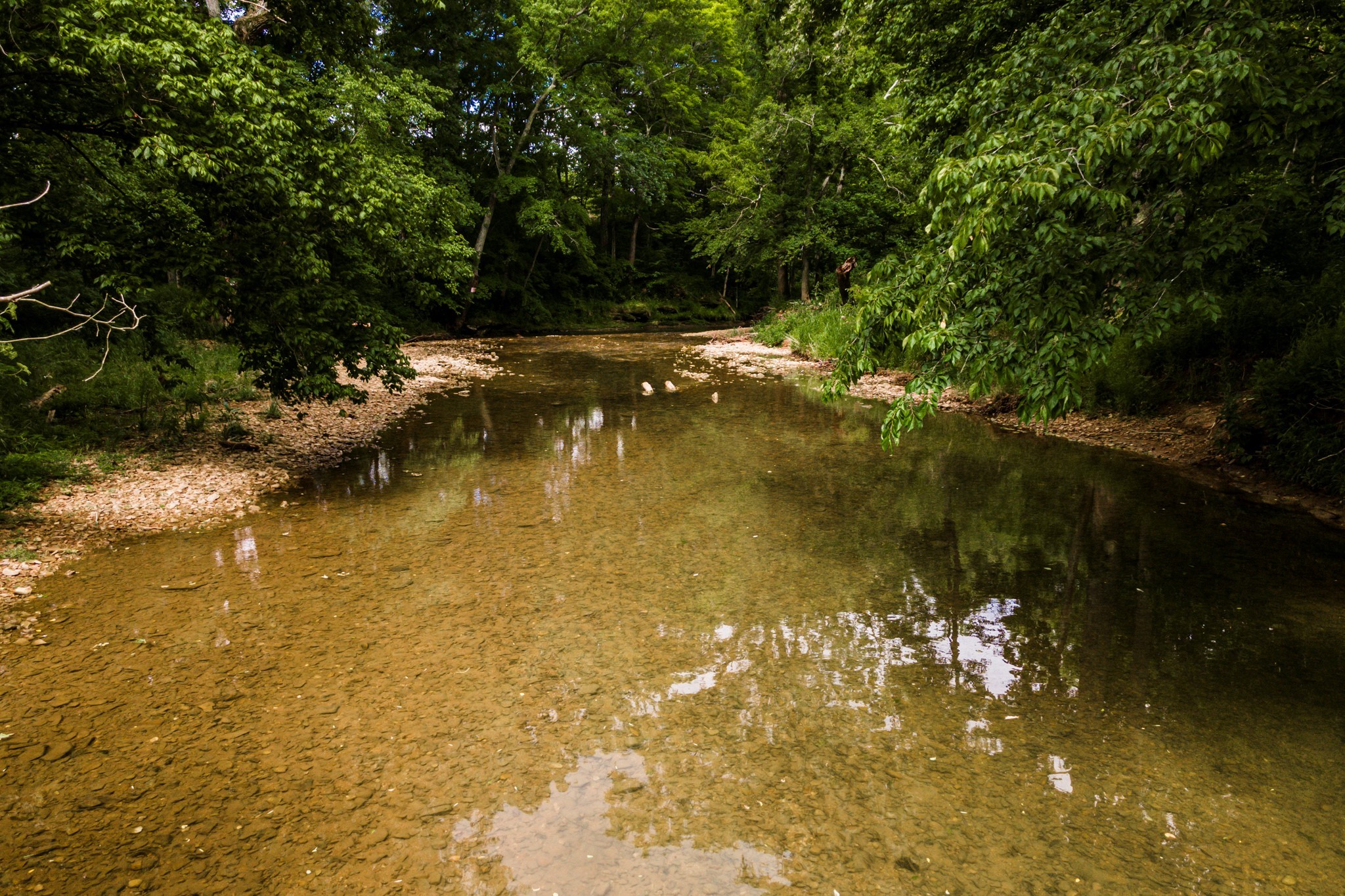 4125 Calista Road Cross Plains, TN 37049 - Photo 44 of 44 Gallery Image 44