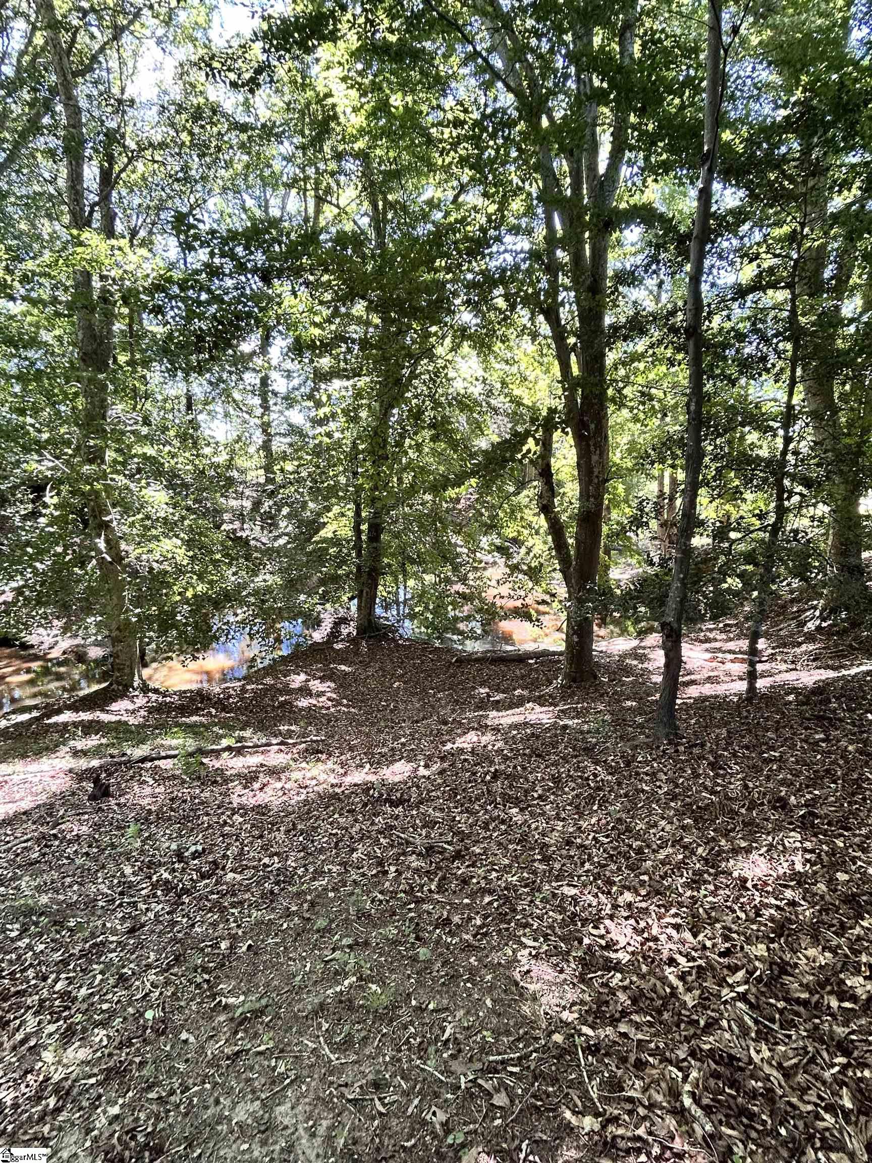 9 Sc - 413 Highway Anderson, SC 29621 - Photo 10 of 14