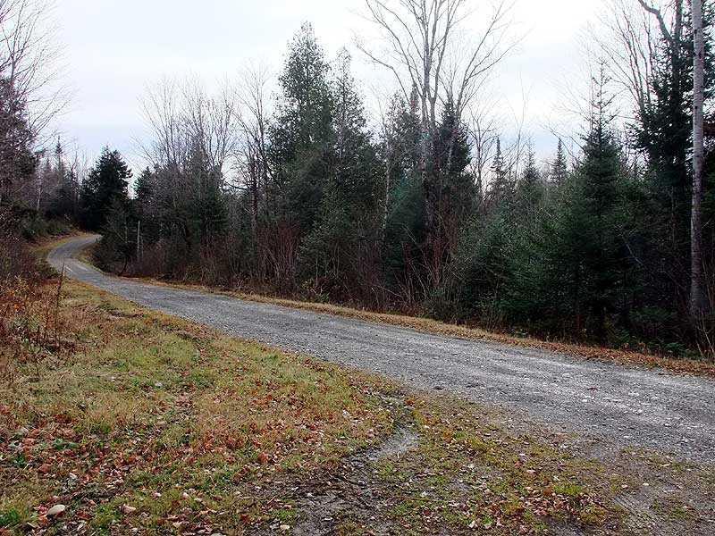 Lot 6 Estabrook Road Amity, ME 04471 - Photo 19 of 20 Other.