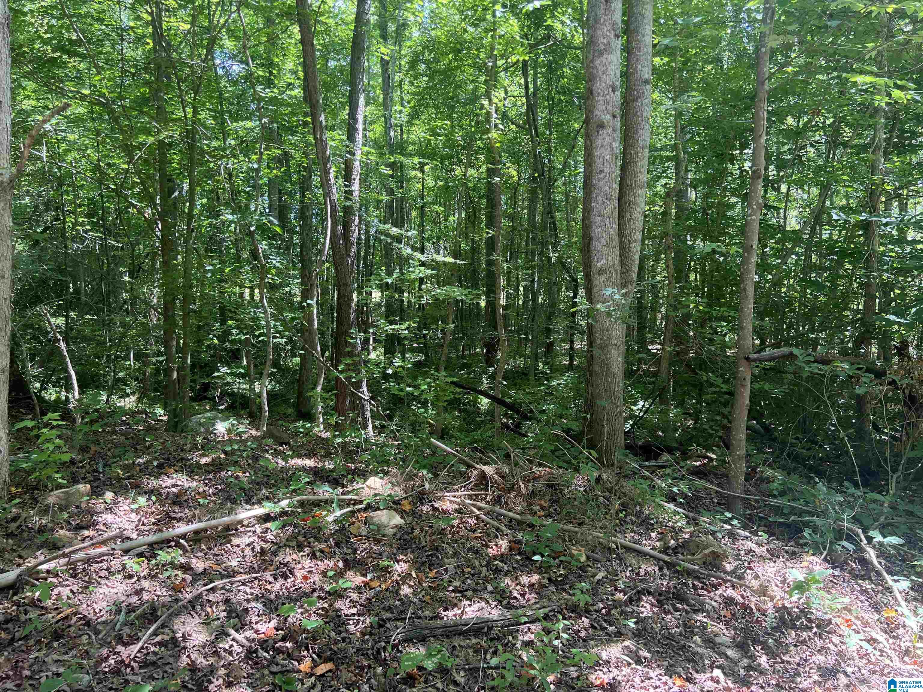 0 County Road 689, Unit 1 Ranburne, AL 36273 - Photo 28 of 69