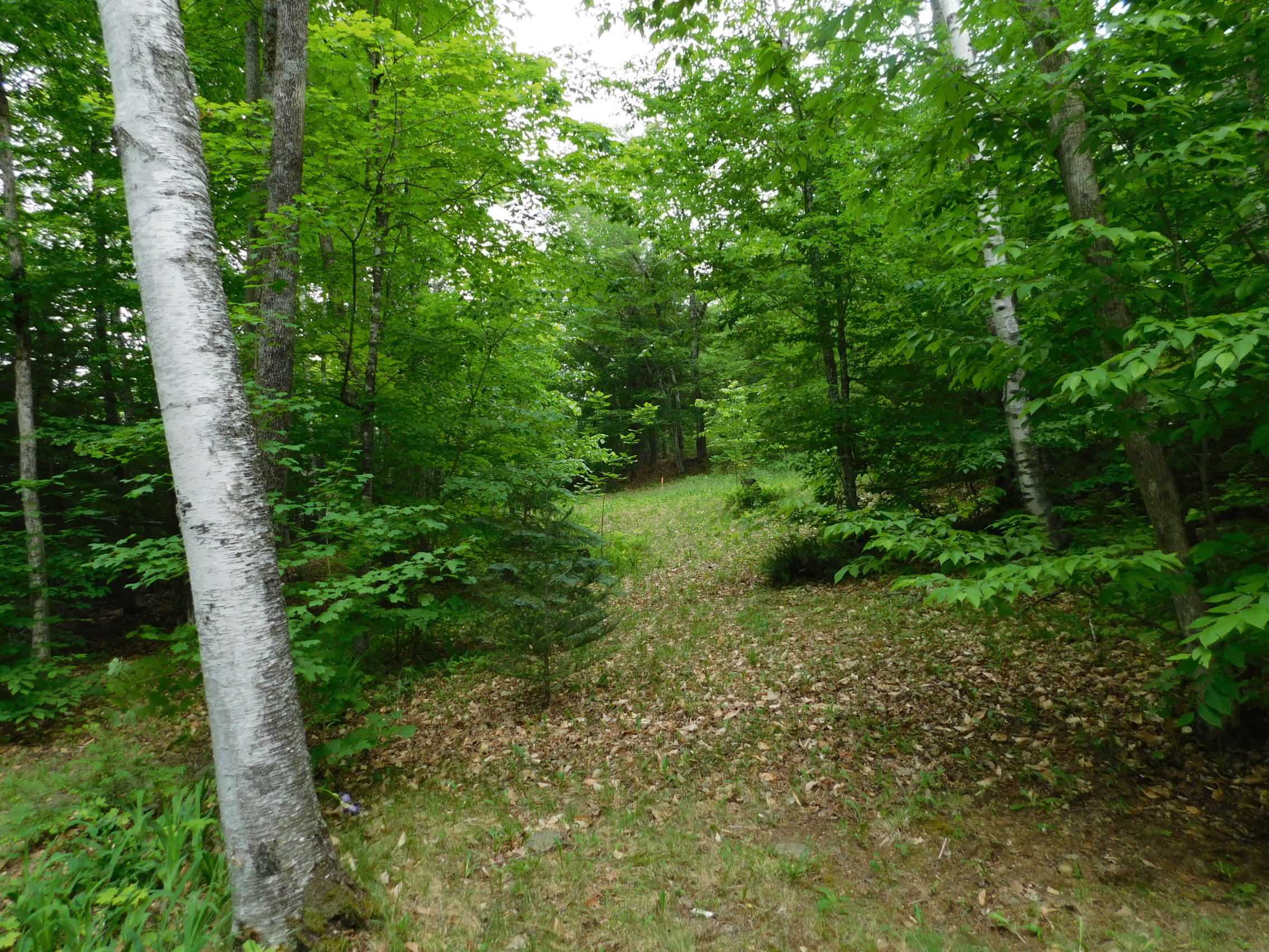 289 Ironbound Pond Road Solon, ME 04979 - Photo 15 of 33 DSCN1344