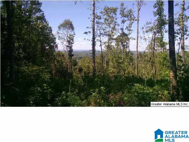 0 Beaver Ridge Drive, Unit 42 48 Ashville, AL 35953 - Photo 17 of 26