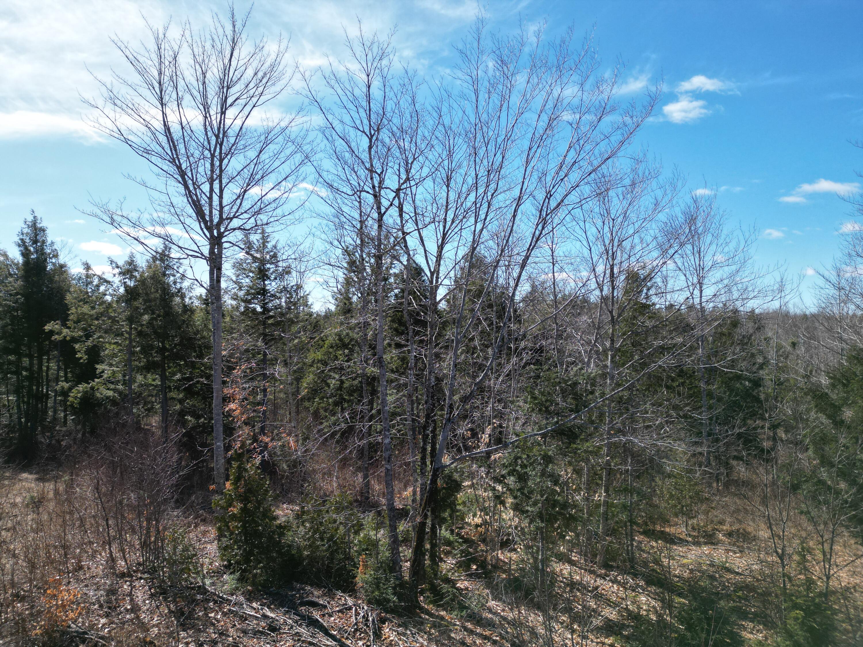 L-7 McGinley Road Springfield, ME 04487 - Photo 6 of 18 DJI_0879