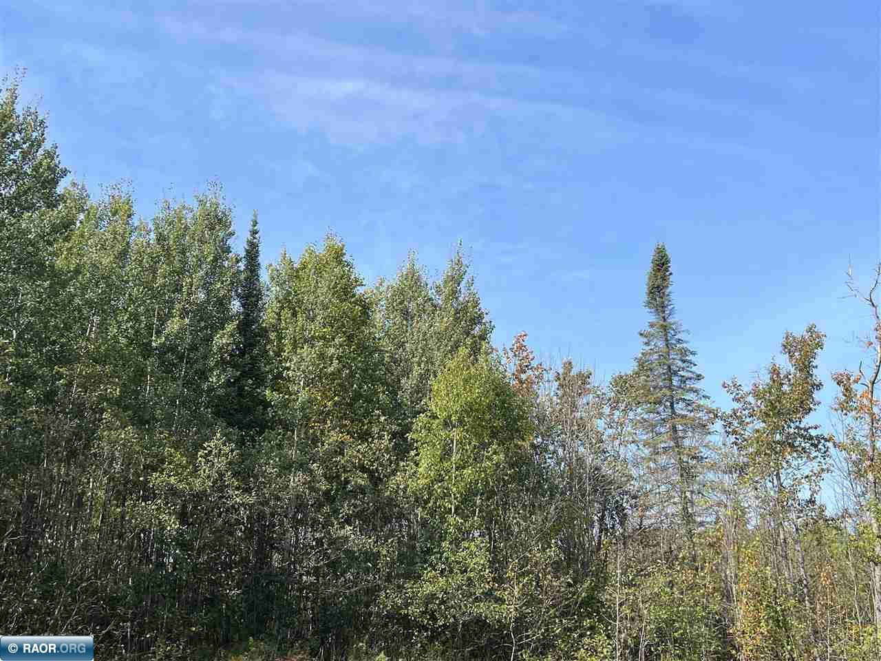 Tbd Oja Road Hibbing, MN 55746 - Photo 3 of 8 Gallery Image 3