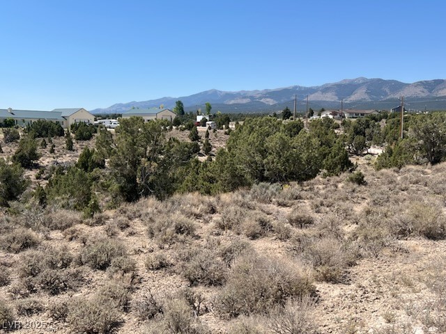 Pinyon Pine Ely, NV 89301 - Photo 3 of 5