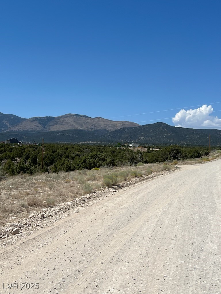Pinyon Pine Ely, NV 89301 - Photo 4 of 5