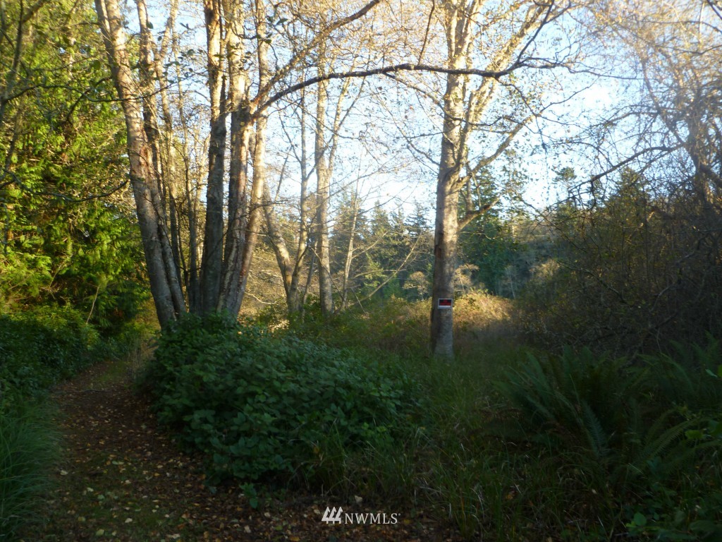 6292 West Shore Road Anacortes, WA 98221 - Photo 24 of 25 Gallery Image 24