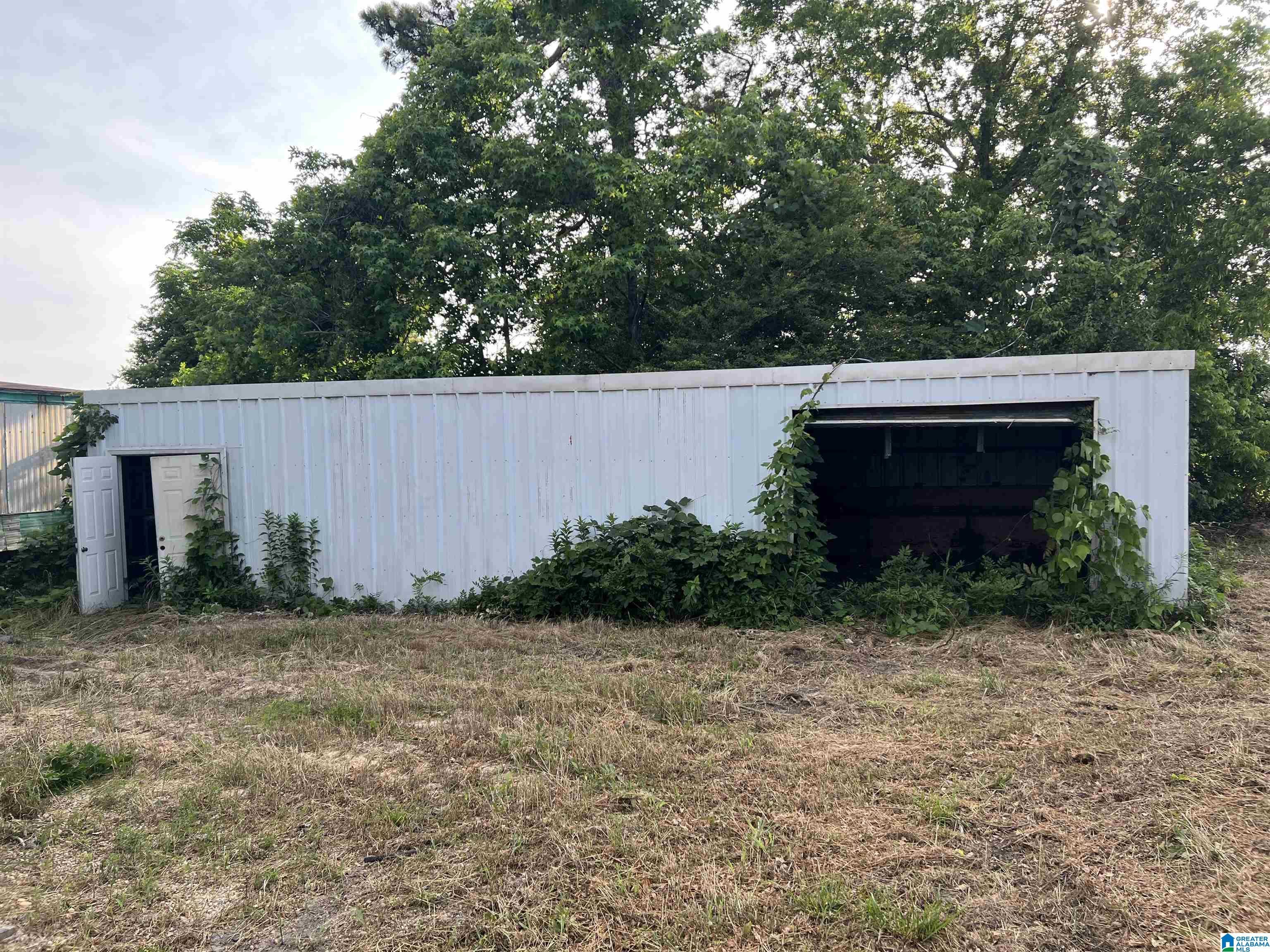 0 County Road 37 Clanton, AL 35045 - Photo 4 of 5