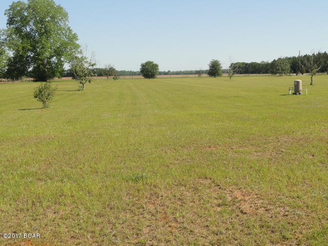 17309 Northeast Mount Olive Cemt Road Altha, FL 32421 - Photo 18 of 27 Gallery Image 18